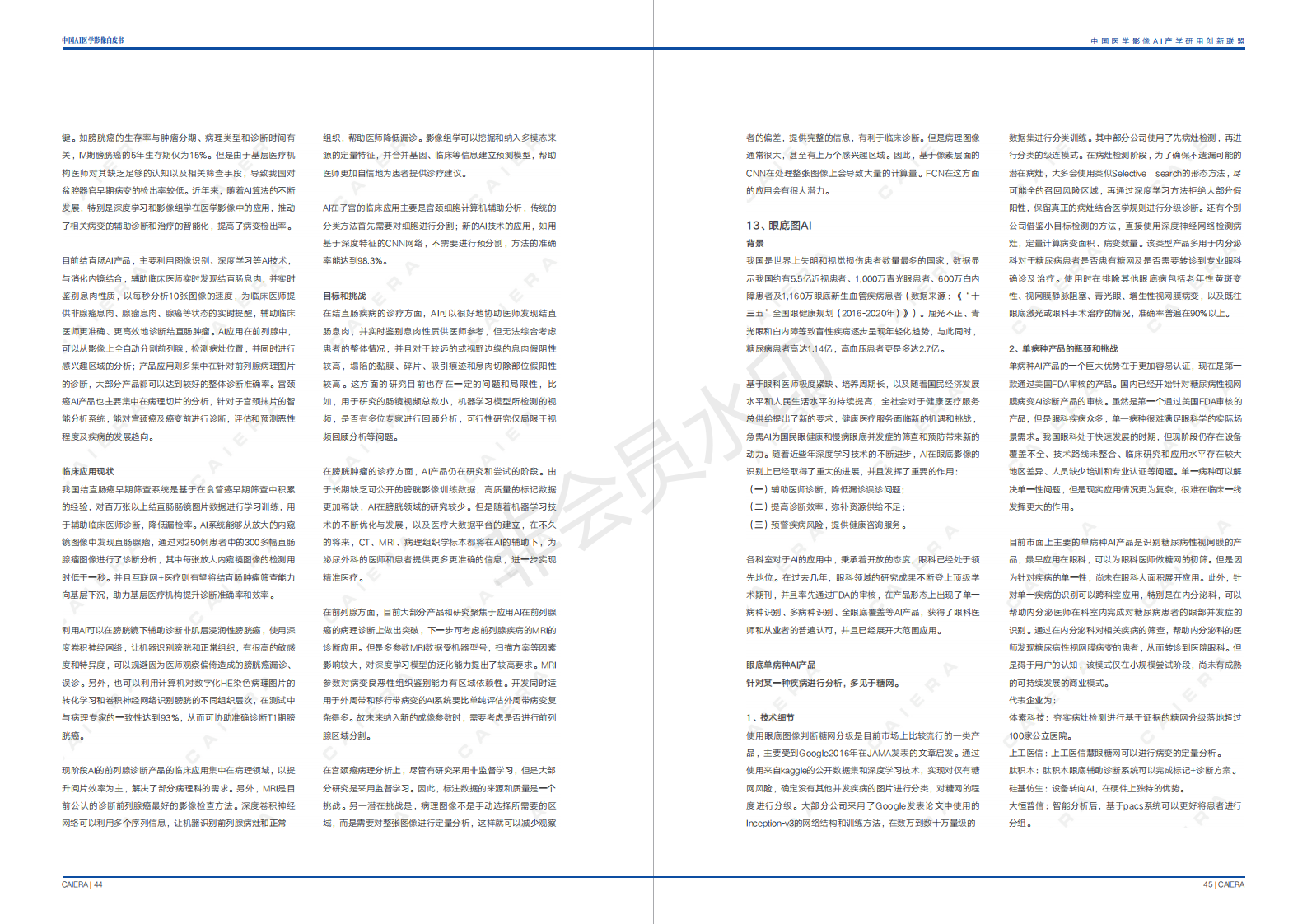 中国医学影像AI白皮书 下载-肽度TIMEDOO