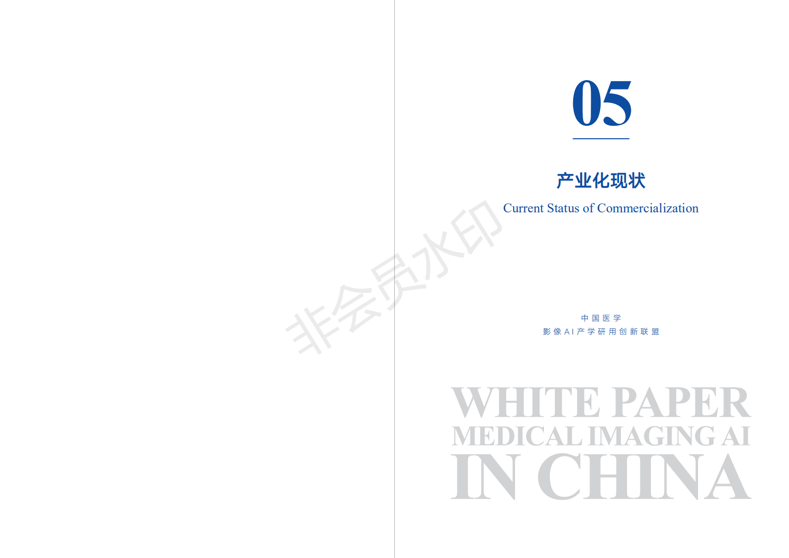 中国医学影像AI白皮书 下载-肽度TIMEDOO