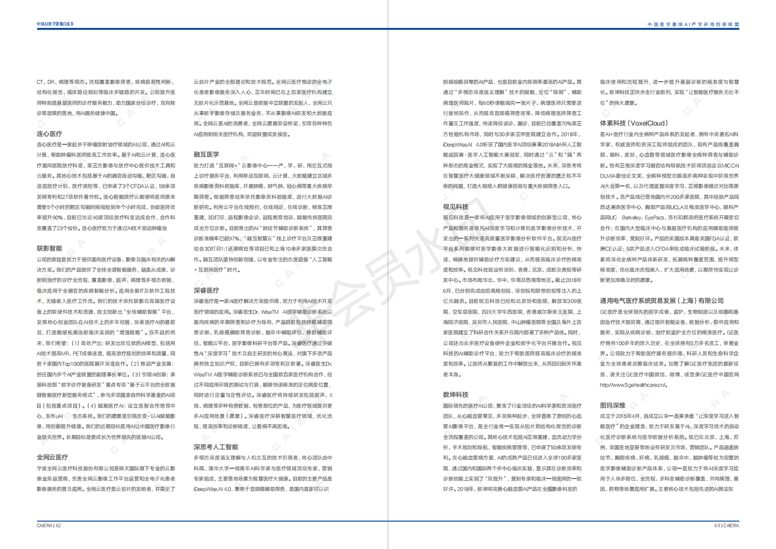 中国医学影像AI白皮书 下载-肽度TIMEDOO