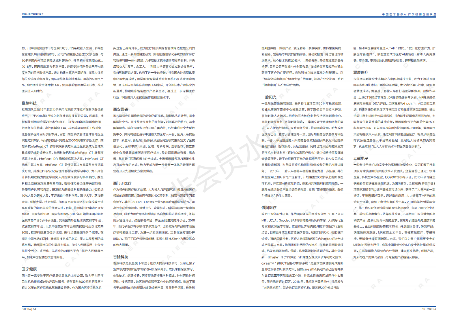 中国医学影像AI白皮书 下载-肽度TIMEDOO