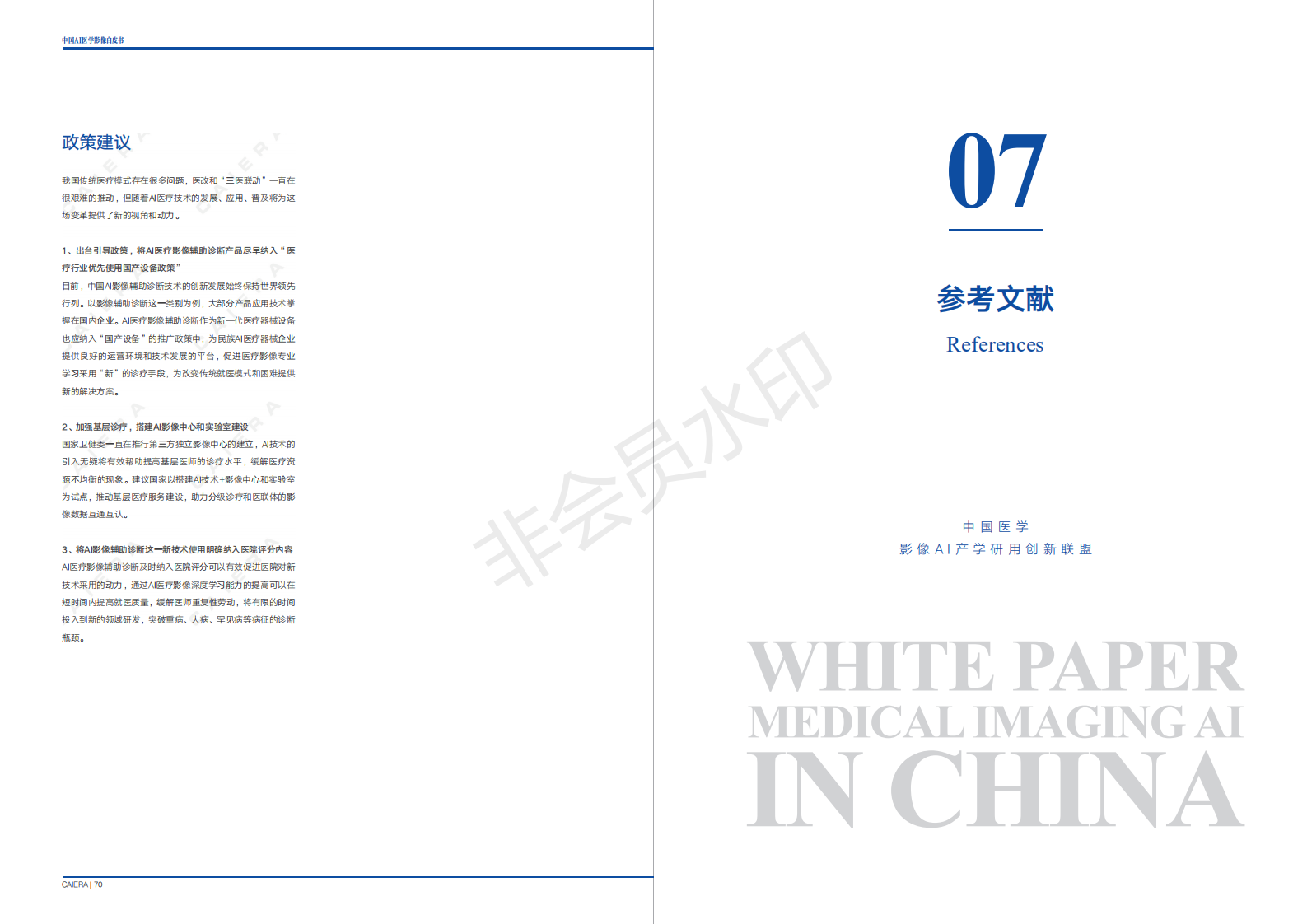 中国医学影像AI白皮书 下载-肽度TIMEDOO