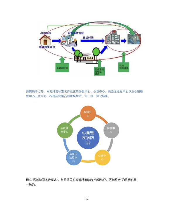 中国心血管行业白皮书2019-肽度TIMEDOO
