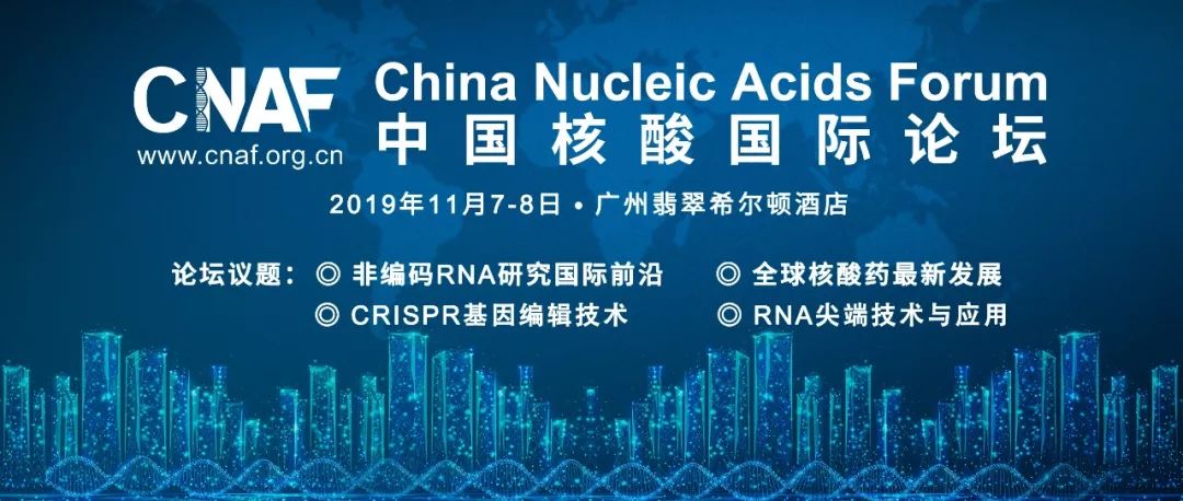 CNAF嘉宾丨Gunter Meister-德国雷根斯堡大学生物化学系教授-肽度TIMEDOO