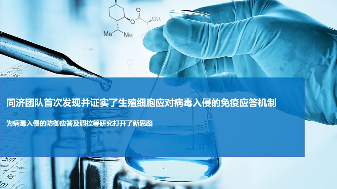 90后博士生一作发《Cell》！同济大学翁志萍教授团队破解世界难题！-肽度TIMEDOO
