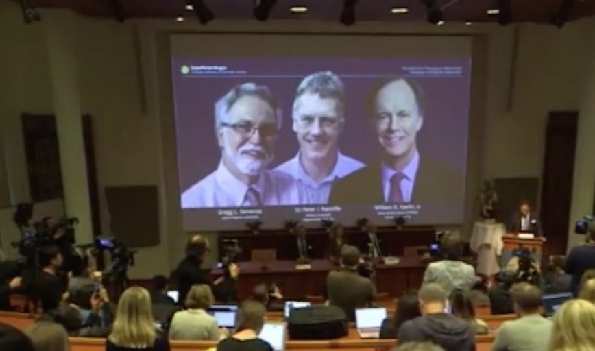 现场视频:2019年诺贝尔生理学或医学奖得主为Kaelin, Ratcliffe, Semenza-肽度TIMEDOO