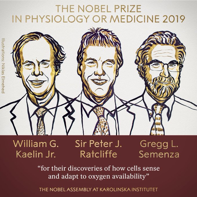 现场视频：2019年诺贝尔生理学或医学奖得主为Kaelin, Ratcliffe, Semenza