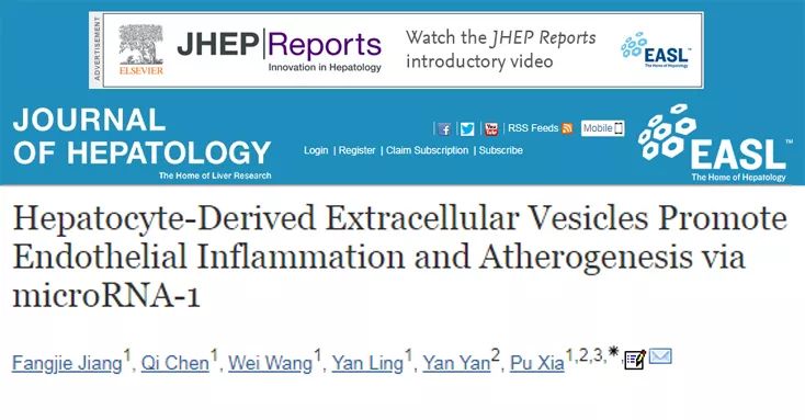 Journal of Hepatology丨肝细胞来源的EVs通过miR-1促进内皮炎症和动脉粥样硬化的新机制