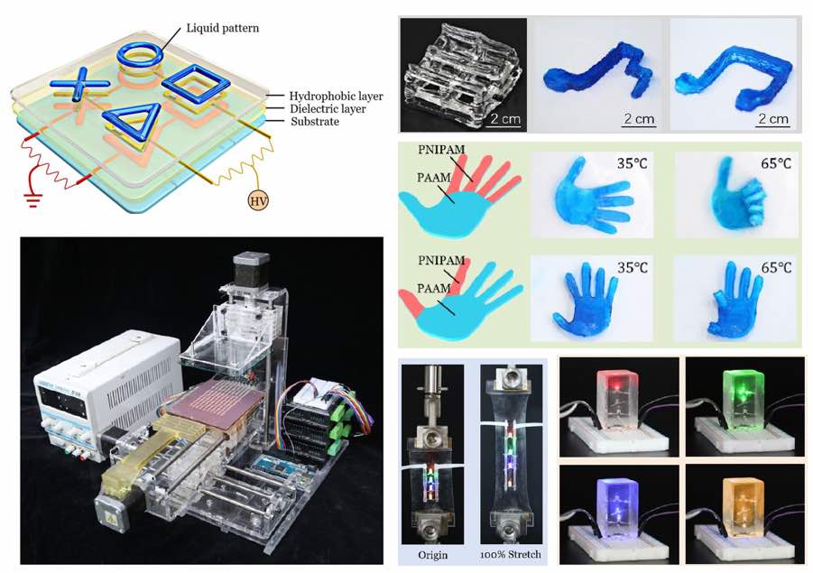 英国伯明翰大学:用3D打印新技术打印宿主活细胞的水凝胶结构-肽度TIMEDOO