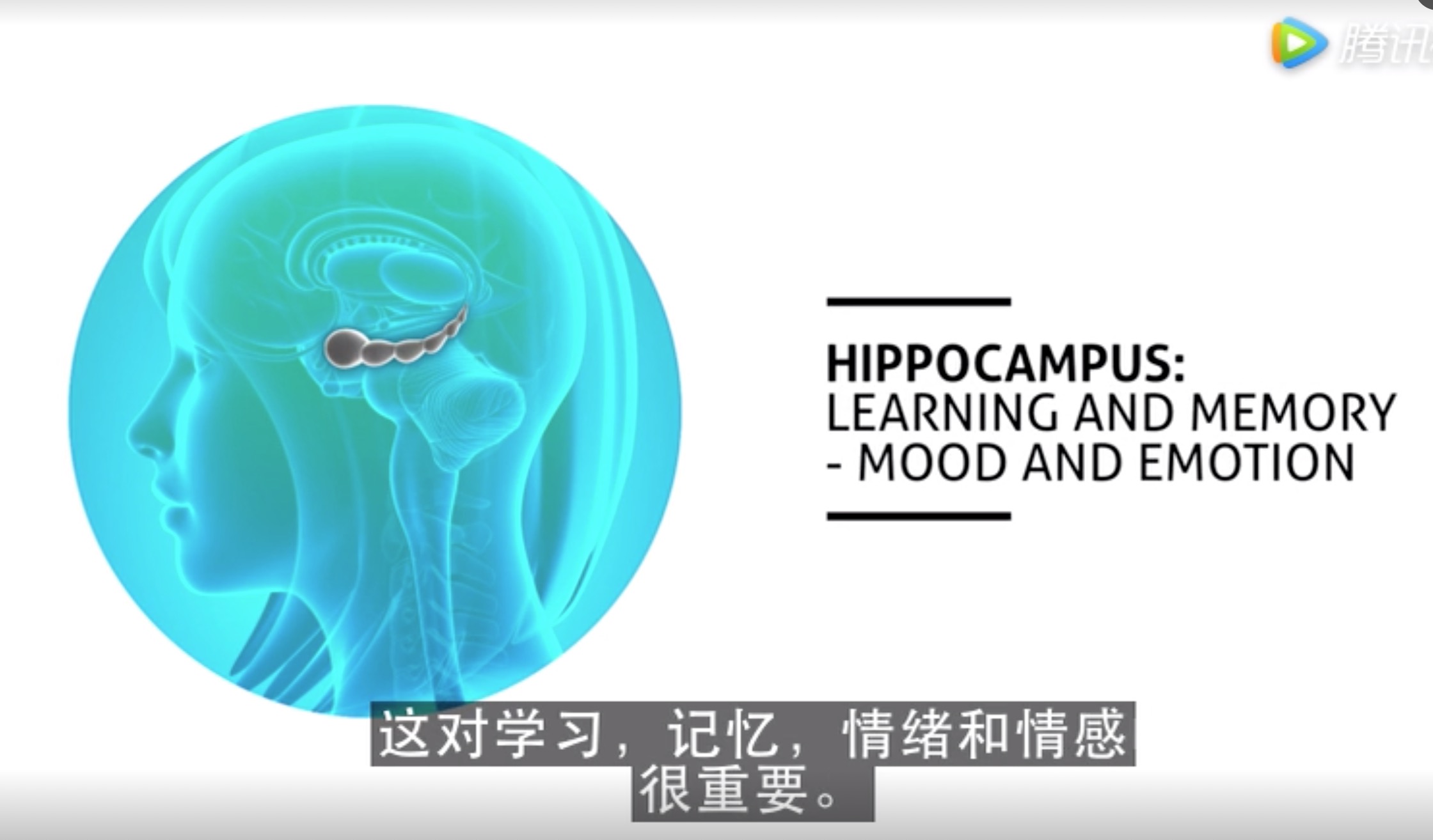 只需要这么做，你就能长出新的脑细胞！