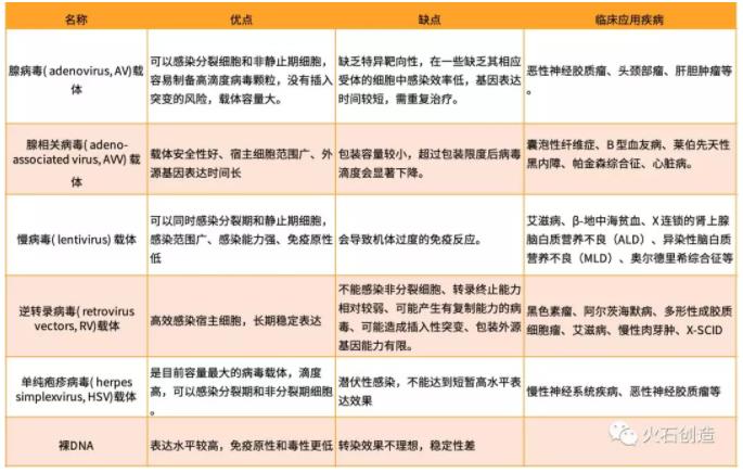 22.jpg 2019年我国基因治疗载体行业发展现状-肽度TIMEDOO