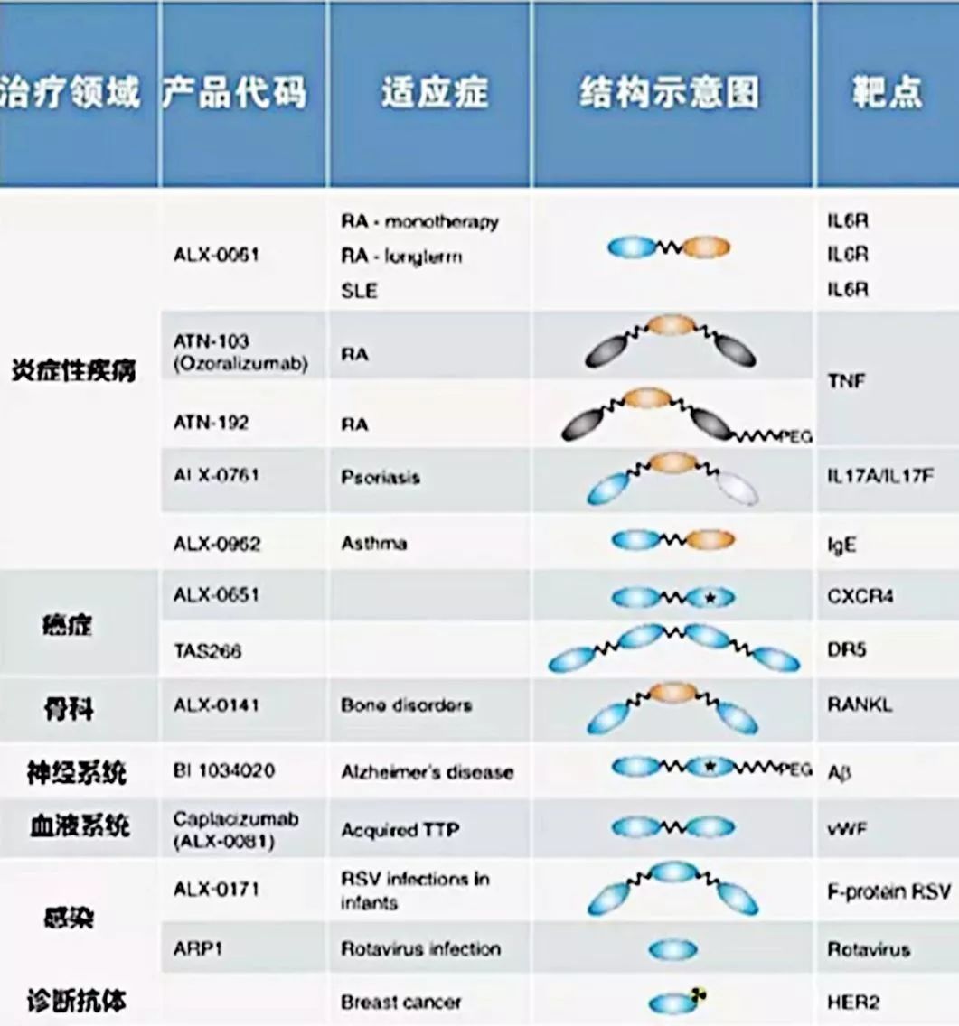 行研 | 纳米抗体 – 抗体界的“百变星君”，如何突破抗体药的激烈重围？-肽度TIMEDOO