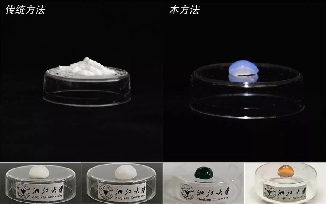 点赞!浙大团队再添一篇《自然》!-肽度TIMEDOO