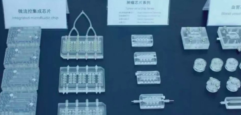 东南大学苏州医疗器械研究院:用芯片制造人体器官-肽度TIMEDOO