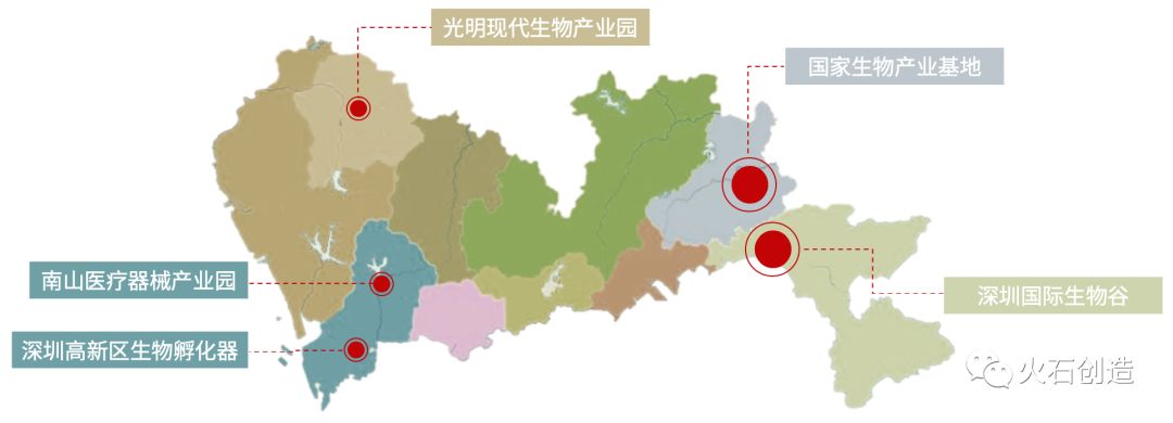 深圳香港生物医药产业联动发展研究-肽度TIMEDOO