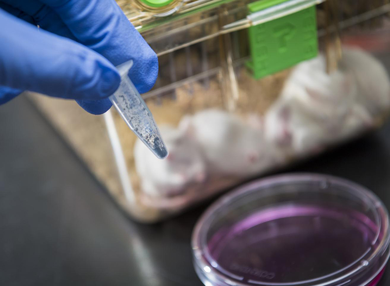 香港科学家新研究:用红光激活抗癌药物,可控地局部杀死癌细胞-肽度TIMEDOO