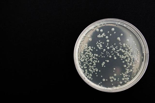 菌群大战揭秘生物迁徙规律,中科院深圳先进院研究登上Nature-肽度TIMEDOO