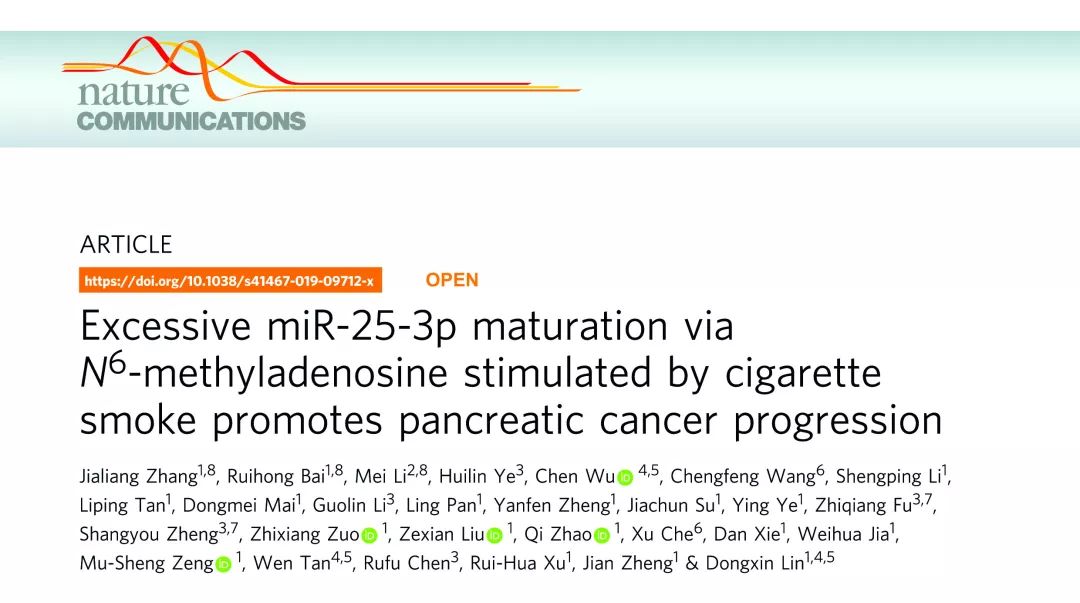 研究m6A与非编码RNAs相互作用没思路?这篇Review值得借鉴-肽度TIMEDOO