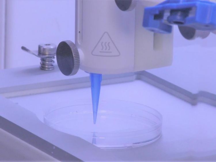 RPI以生物墨水与3D打印制作内建血管 能紧密融合患处的人造皮肤