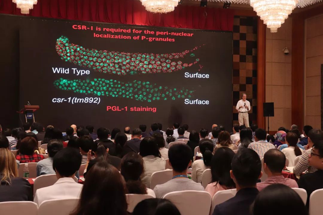 诺奖领衔 · 大咖云集丨第七届中国核酸国际论坛在广州圆满举办！-肽度TIMEDOO