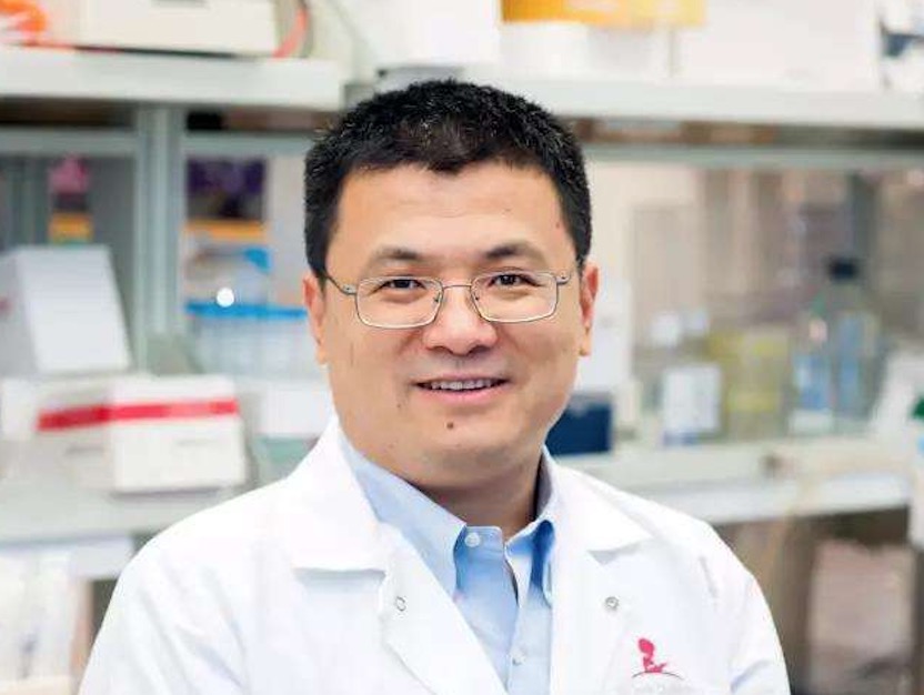 美国华人科学家重磅新成果：重编程T细胞增强癌症免疫疗效