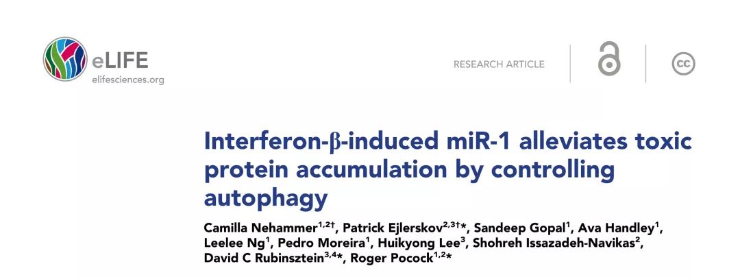 eLIFE丨MicroRNA有助于预防Huntington舞蹈症毒性蛋白的聚集-肽度TIMEDOO