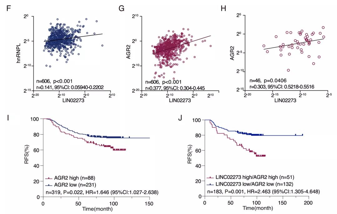 Molecular Cancer丨RiboBio动物用ASO助力发现lncRNA促进乳腺癌转移分子机制-肽度TIMEDOO
