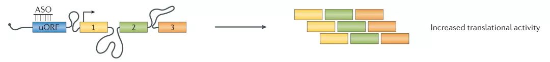 Molecular Cancer丨RiboBio动物用ASO助力发现lncRNA促进乳腺癌转移分子机制-肽度TIMEDOO
