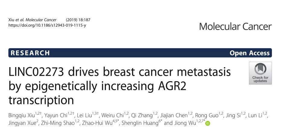 Molecular Cancer丨RiboBio动物用ASO助力发现lncRNA促进乳腺癌转移分子机制-肽度TIMEDOO