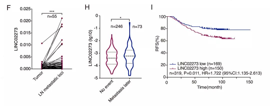 Molecular Cancer丨RiboBio动物用ASO助力发现lncRNA促进乳腺癌转移分子机制-肽度TIMEDOO