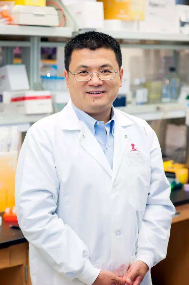美国华人科学家重磅新成果:重编程T细胞增强癌症免疫疗效-肽度TIMEDOO