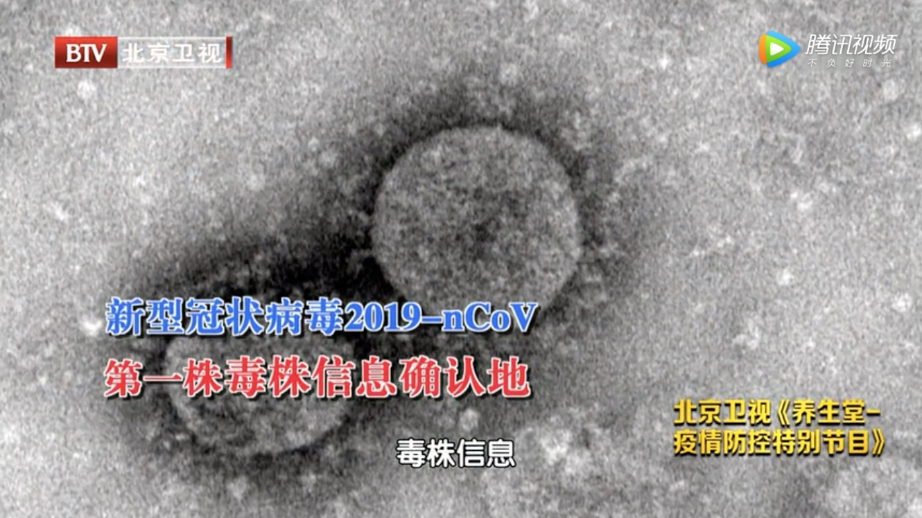 北京卫视：揭秘新型冠状病毒发现过程-肽度TIMEDOO