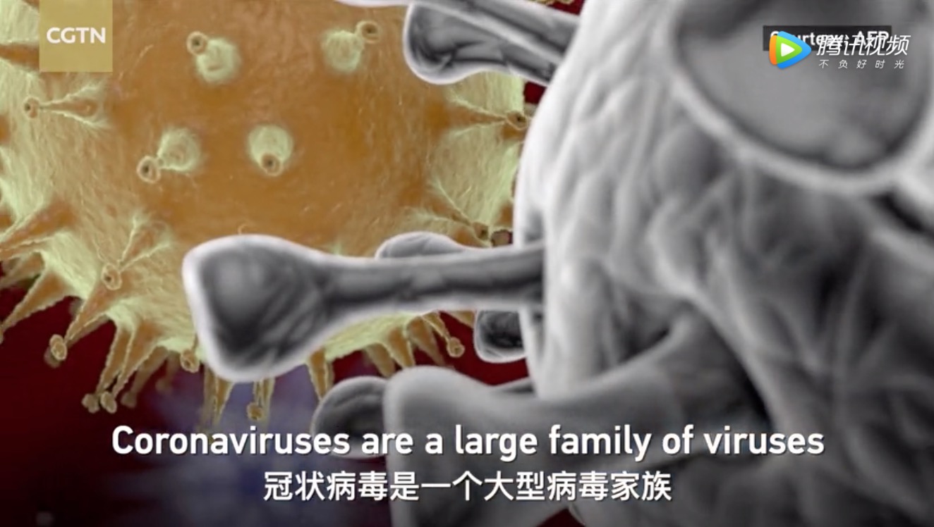 新型冠状病毒有多可怕？