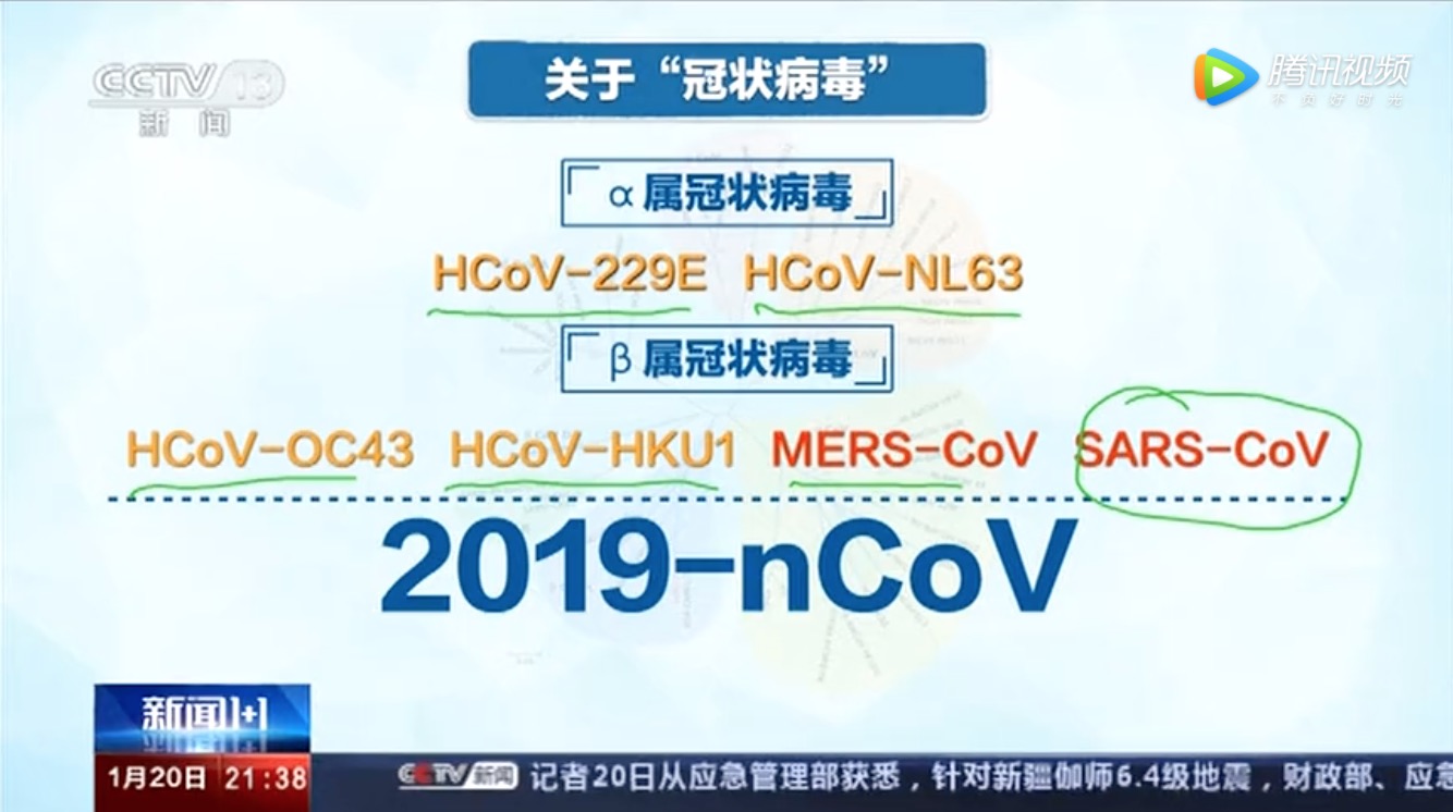 白岩松访钟南山：新型冠状病毒肺炎疫情如何防控-肽度TIMEDOO