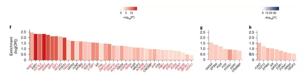 史上最大规模乳腺癌研究:近500个科研机构合作研究了21万人,发现191个乳腺癌相关基因-肽度TIMEDOO