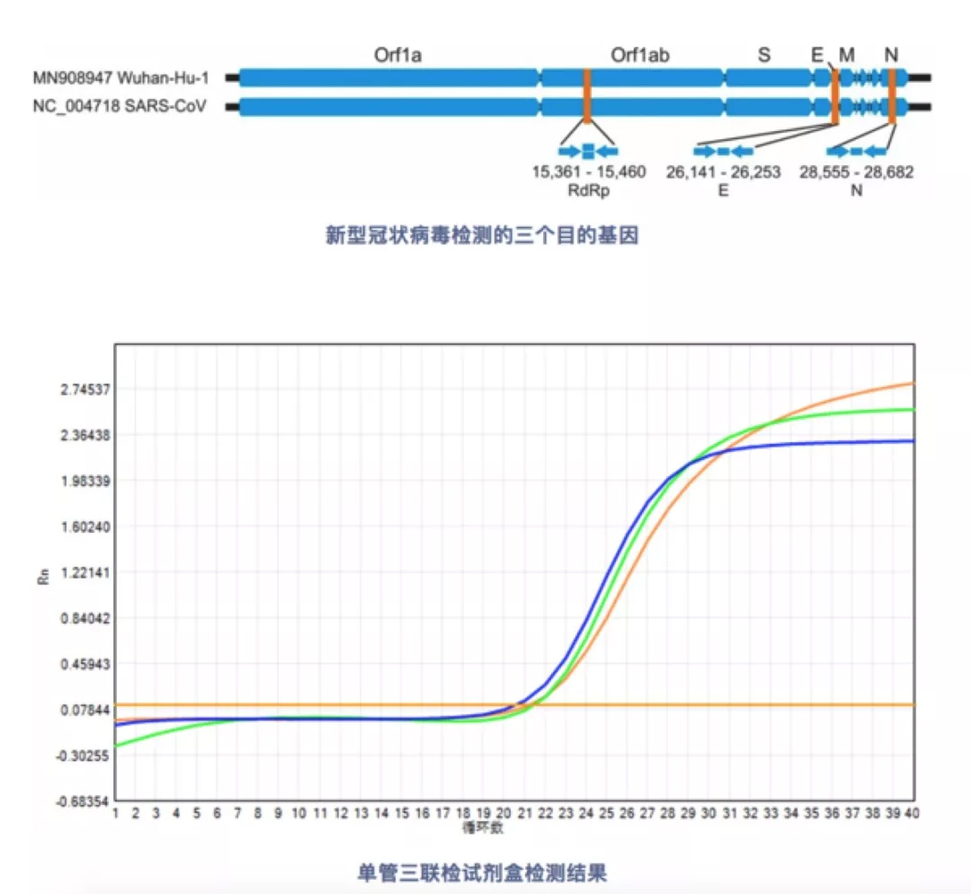 未标题-11.jpg 这三家企业产品助力抗击“新型冠状病毒肺炎”-肽度TIMEDOO