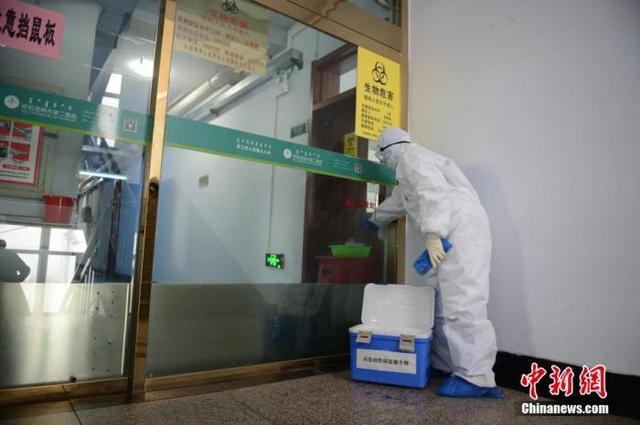 中国开放分享新冠病毒基因信息 科学界开展前所未有合作-肽度TIMEDOO
