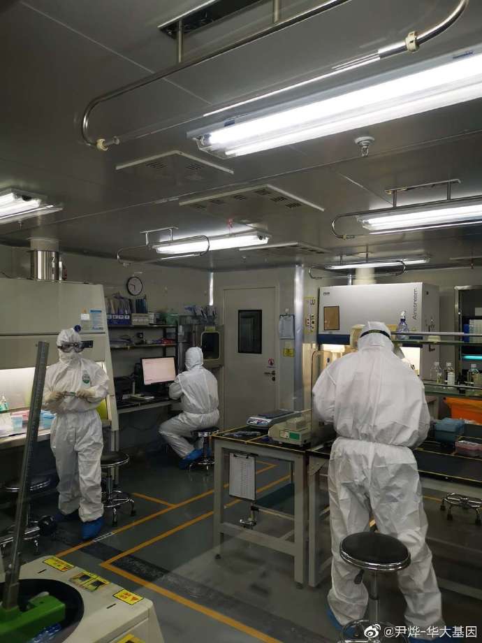 华大基因汪建奔赴武汉 参与一线侦破冠状病源体-肽度TIMEDOO