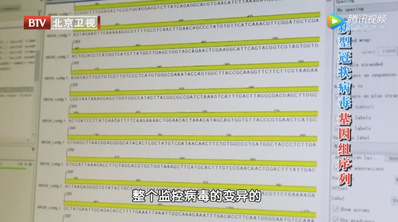 北京卫视：揭秘新型冠状病毒发现过程-肽度TIMEDOO