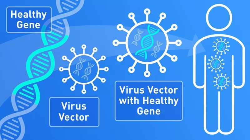 长达10年研究结果暗示基因治疗中的AAV可能致癌！-肽度TIMEDOO