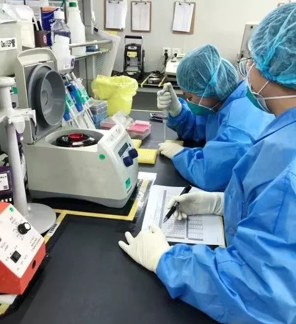 助力新型冠状病毒鉴定及变异监测 | 第二台华大智造超高通量测序仪T7运抵武汉,华大与多国和地区开展病原合作-肽度TIMEDOO