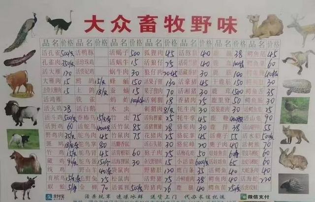 新型冠状病毒溯源取得阶段性进展！大多来自武汉华南海鲜市场-肽度TIMEDOO