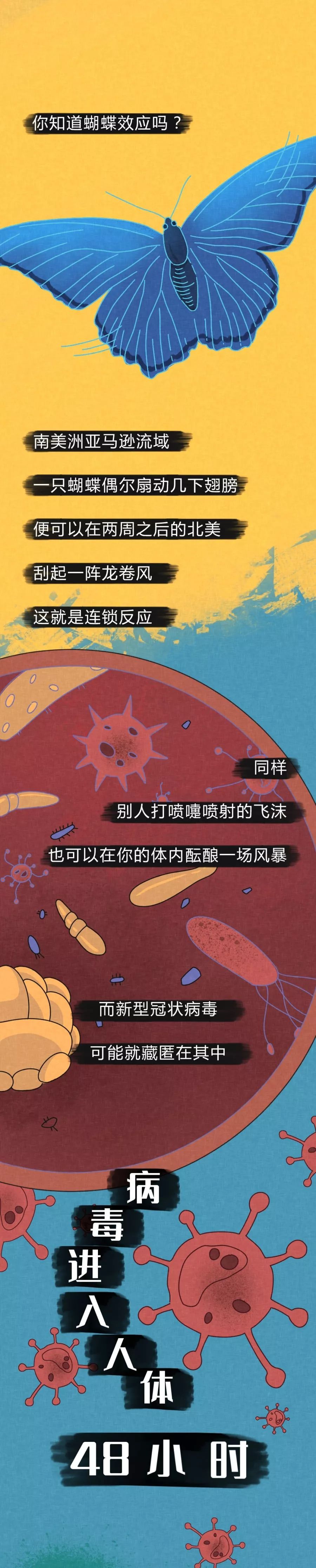 病毒进入体内的48小时-肽度TIMEDOO