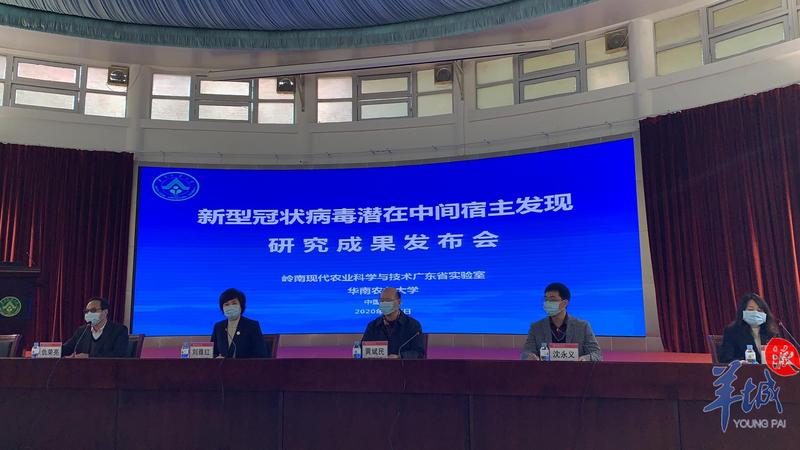 为什么是穿山甲?华农:分离病毒毒株感染人的基因序列相似性99%-肽度TIMEDOO