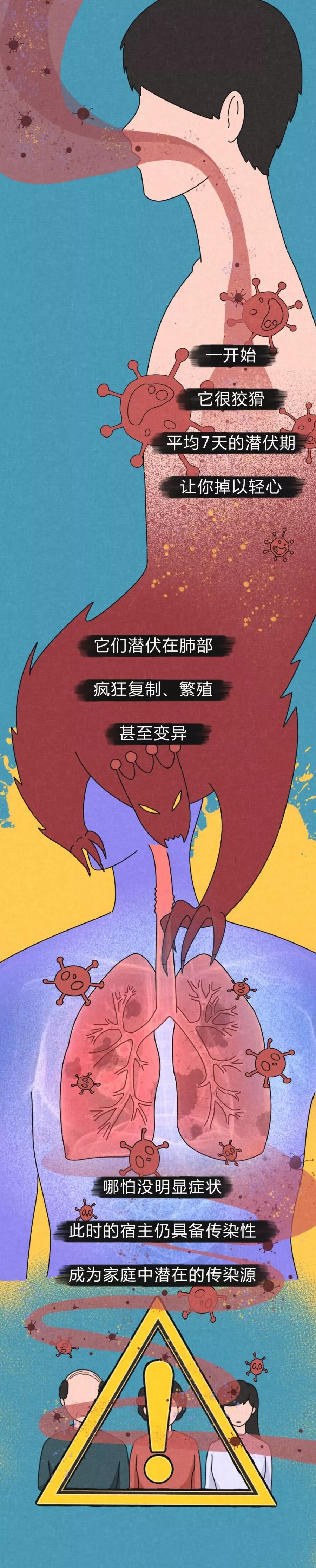 病毒进入体内的48小时-肽度TIMEDOO