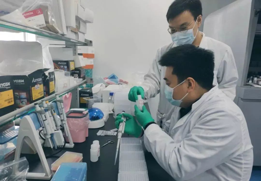 抗击疫情|高盛生物加入省实验室新冠病毒紧急公关项-肽度TIMEDOO