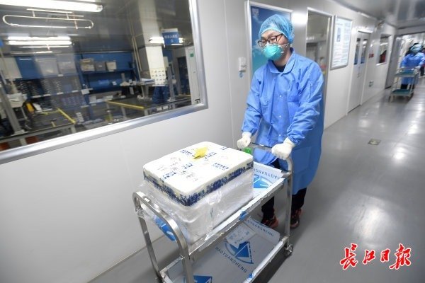 武汉“火眼”实验室开始试运行-肽度TIMEDOO
