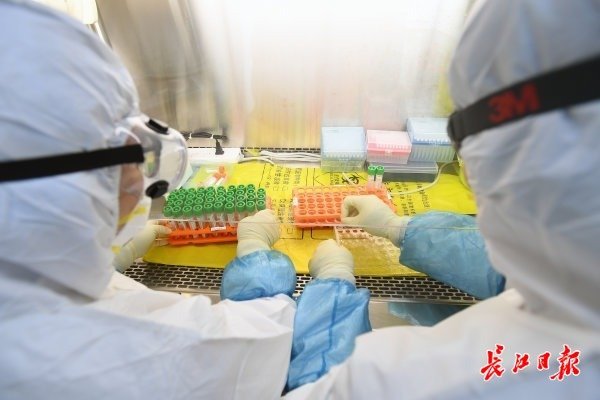 武汉“火眼”实验室开始试运行-肽度TIMEDOO