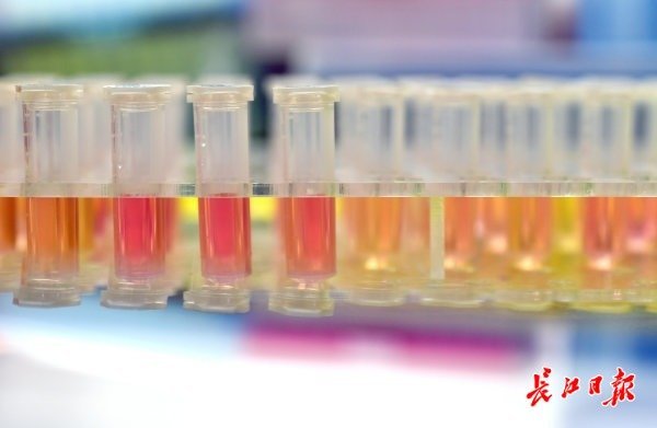 武汉“火眼”实验室开始试运行-肽度TIMEDOO