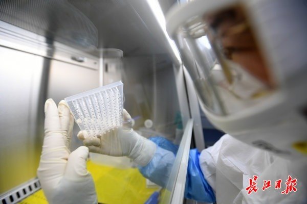 武汉“火眼”实验室开始试运行-肽度TIMEDOO