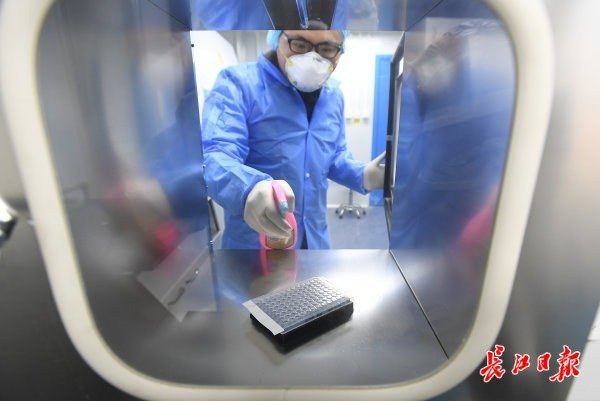 武汉“火眼”实验室开始试运行-肽度TIMEDOO